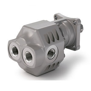 hydraulische Zahnradpumpe 1