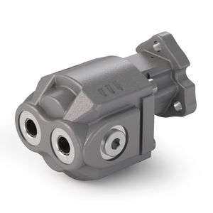 hydraulische Zahnradpumpe 1