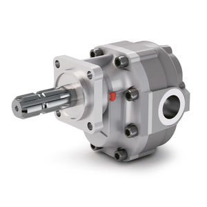 hydraulische Zahnradpumpe 1
