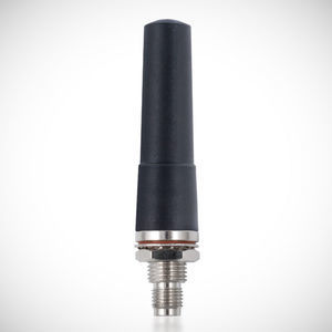 IP-Antenne