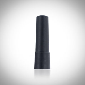 IP-Antenne 1