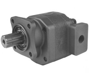 hydraulische Zahnradpumpe