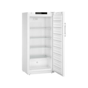 vertikaler Gefrierschrank 1