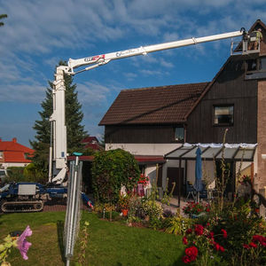 Hebebühnenspinne auf Raupen