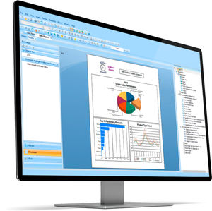 Reporting-Software