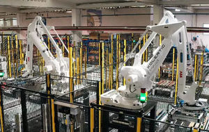 Palettier- und Verpackungsanlage 1