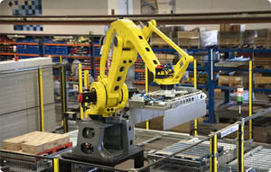 Palettier- und Verpackungsanlage / Roboter 1