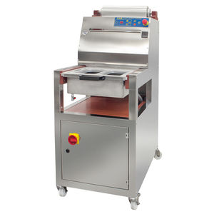 linearer Schalensiegler 1