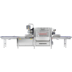 linearer Schalensiegler