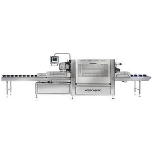 linearer Schalensiegler 1