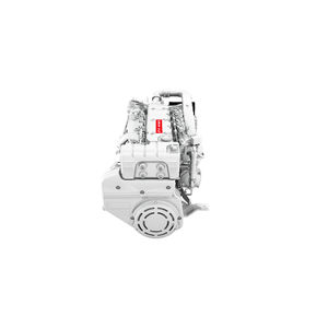 Dieselmotor 1