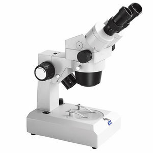 optisches Stereomikroskop