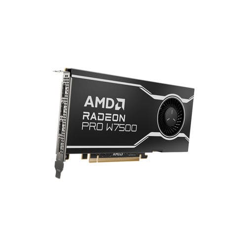 PCIe-Grafikkarte - Radeon™ PRO W7500 - AMD - AMD Radeon / GDDR6 / Linux