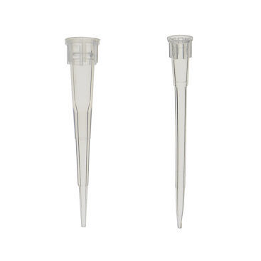 Pipettenspitze - TIPP series - LABBOX LABWARE S.L.