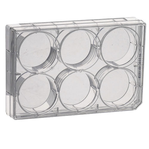 Mikrotiterplatte für Zellkulturanwendungen - CCPP series - LABBOX LABWARE S.L. - 96-Loch / 24-Loch / 12-Loch