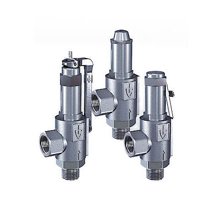 Sicherheitsventil für Dampf - 461 series - Goetze KG - für Gas / für Druckluft / Gewinde
