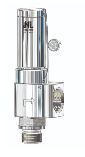 Gassicherheitsventil - Type 50 - Niezgodka GmbH - für Dampf / Öl / kompakt