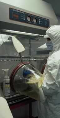 Steriler Containment-Isolator - Dastex - für Reinraum / ISO Klasse 5
