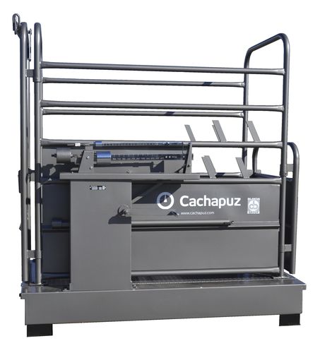 Plattformwaage - R10 - Cachapuz Bilanciai Group - mechanisch / kg / mit separatem Anzeiger