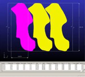 Schachtelsoftware - BLANKNEST - FTI Forming Technologies Incorporated - Prozess
