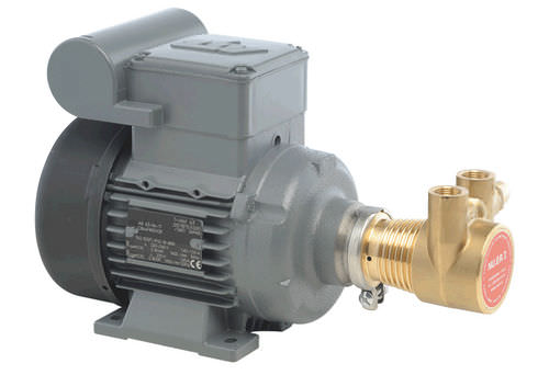 AC-Motor - Nuert - 48 V / für Pumpen