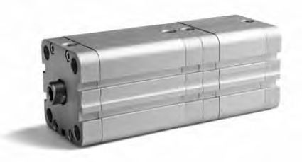 Pneumatikzylinder - PPM - ARTEC SRL - doppeltwirkend / Edelstahl / ISO