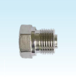 Sechseckiger Stopfen - FSP-12-BSPP-PLG  - Temperature Technology Ltd - Gewinde / Edelstahl / zum Schweißen