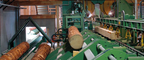 Bandsäge - RoboLine - EWD - Holz / Block / kompakt