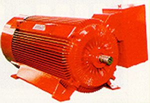 Mittelspannungsmotor - EMG-EMCO - Asynchron / AC