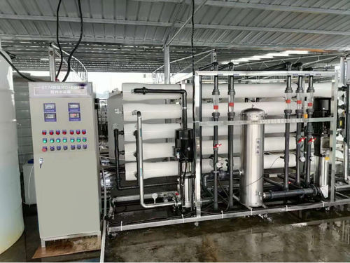 Prozess-Reinstwasseranlage - RO-EDI(30000L) - Shine Dew Water Equipment Co.,Ltd. - Umkehrosmose