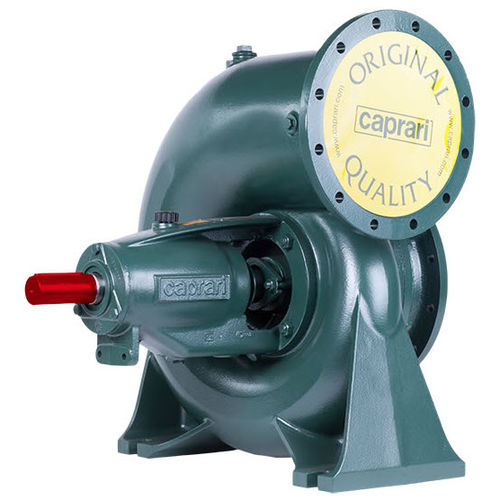 Einstufenpumpe - BHR - Caprari - Zentrifugal / für Klarwasser / elektrisch