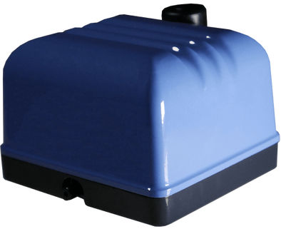 Membranpumpe - V series - CHARLES AUSTEN PUMPS LTD / BLUEDIAMOND PUMPS INC - Filterung / Wasser / Luft