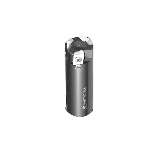 Fräser mit austauschbaren Wendeschneidplatten - FMP025CS25-BE12-03 - Beijing Worldia Diamond Tools Co., Ltd - Plan / Eck / PKD