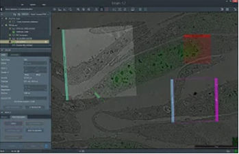 Automatisierungssoftware - Maps 3  - THERMO FISHER SCIENTIFIC - MATERIALS SCIENCE - Datenerfassung / Datensammel / Analyse