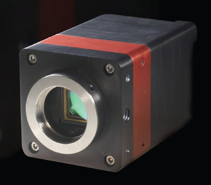 Überwachungskamera - 320 x 256 pix | OWL 1.7-CL-320 - Raptor Photonics - für Nachtsichtanwendungen / Infrarot / hochempfindlich
