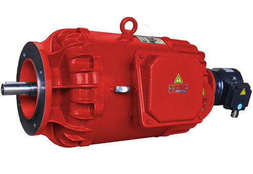 Synchronmotor - 2G, IC 410 - Winkelmann Elektromotoren GmbH & Co. KG - Gleichstrom / 220 V / Käfigläufer