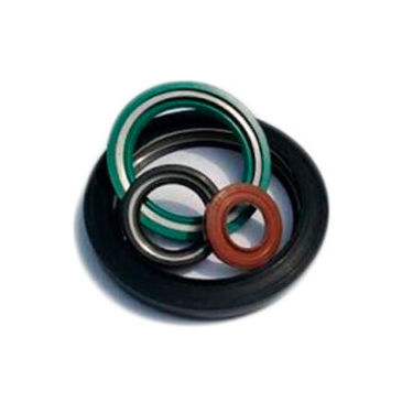 Dichtung für Drehwellen - OAC - Duff-Norton Europe - Doppellippen / Edelstahl / Elastomer