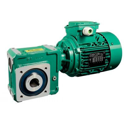 Schneckengetriebemotor - MB2201 - Michaud Chailly - AC / rechtwinklig / mit Hohlwelle