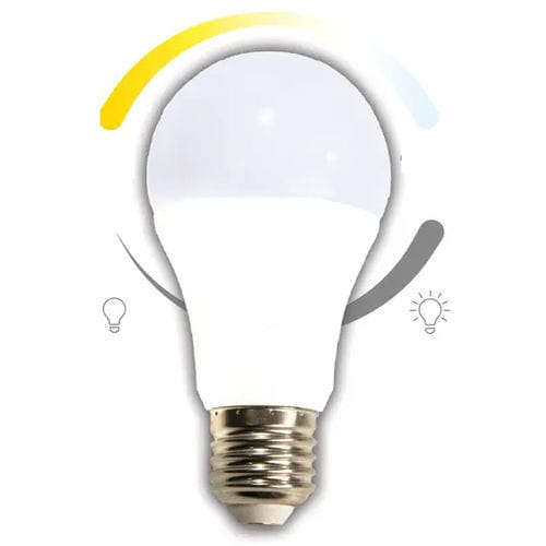 Lampen-Glühbirne - YMOCA-BULB-E27 - RP-Technik - RPower Batteries - E27 / warmweiß / 240 V AC