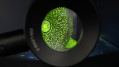 LED-Lampe - RW-LENS-3 - TemaFlux - UV / batteriebetrieben / tragbar