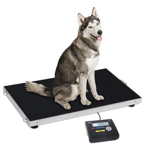 Waage für Tiere - Gram Core Pluto - Gram Group - Plattform / Zähl / elektronisch