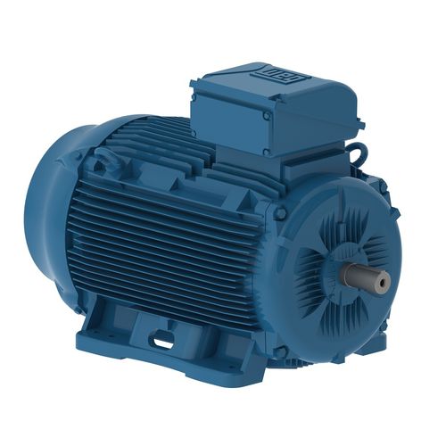 Dreiphasiger Motor - W22 WIMES - WEG Gear Systems GmbH - Gusseisen / IE3 / IE4