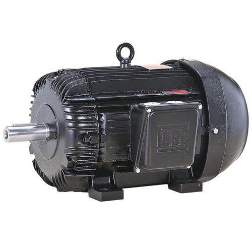 Dreiphasige Lichtmaschine - G Truck - WEG Gear Systems GmbH - IP65 / Pumpen / für Gas