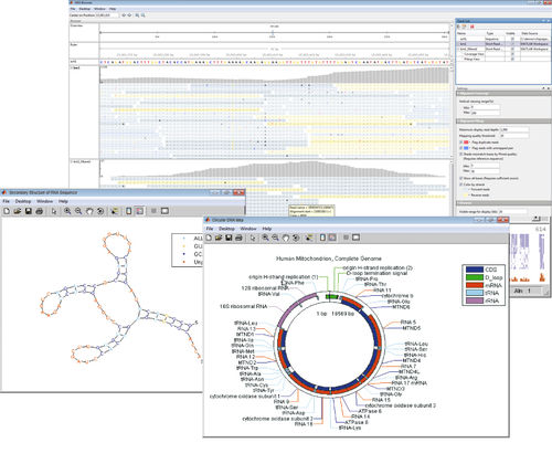 Visualisierungssoftware - Bioinformatics Toolbox™ - The MathWorks - Analyse / für Massenspektrometrie