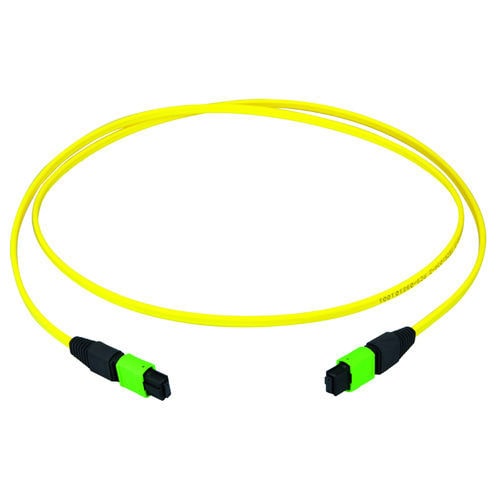 LWL-Patchkabel - 100010911 - TELEGARTNER - OM4 / OM3 / Typ MPO