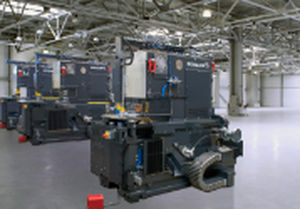Ausklinkmaschine mit variablem Winkel - N8S - SCHULER - MÜLLER WEINGARTEN - manuell / Mehrfach