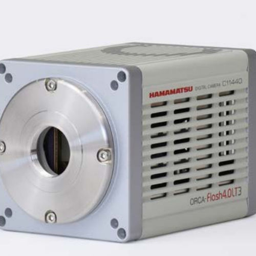 Digitale Kamera - C11440-42U40 - HAMAMATSU - Industrie / für die industrielle Bildverarbeitung / Überwachung