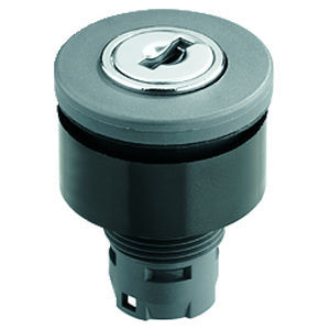 Schlüsselumschalter - RX-JUWEL RXJSSA12E - Georg Schlegel GmbH & Co. KG - IP65 / plattenmontiert / unbeleuchtet