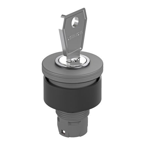 Schlüsselumschalter - RX-JUWEL RXJSSA12E - Georg Schlegel GmbH & Co. KG - IP65 / plattenmontiert / unbeleuchtet