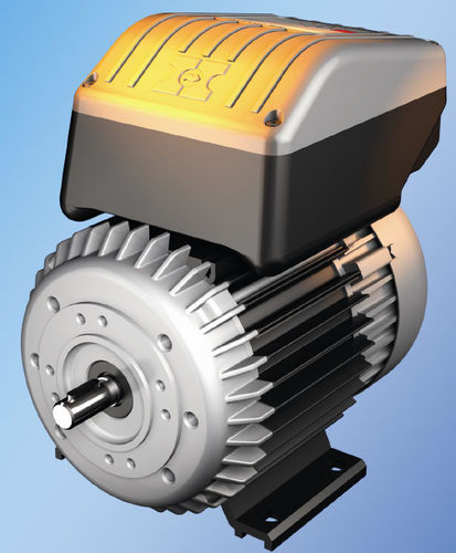 Synchronmotor - hamotic varicon - HANNING - AC / Käfigläufer / kompakt